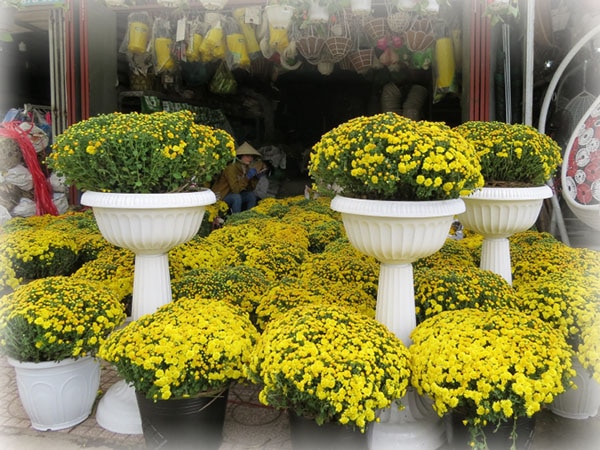 Trang trí ngày tết bằng hoa tươi