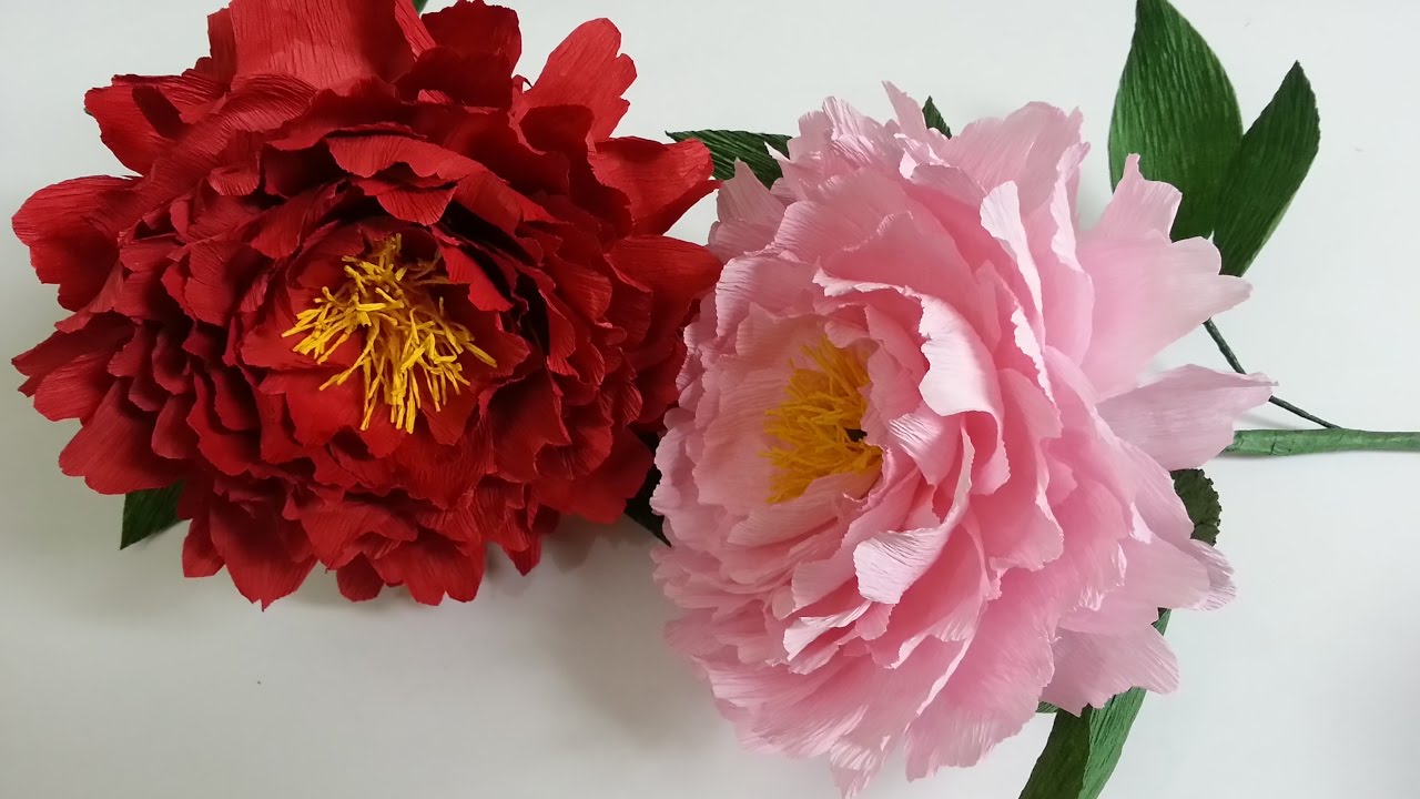 Quà sinh nhật bằng Hoa mẫu đơn