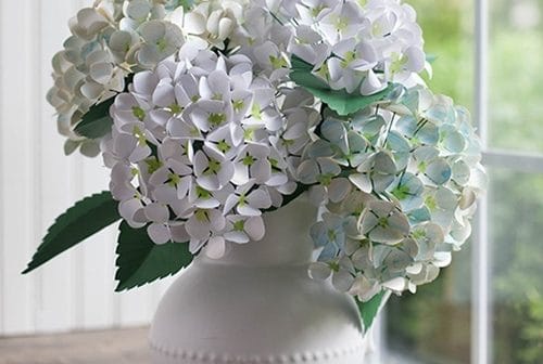 Hoa cẩm tú cầu bằng giấy