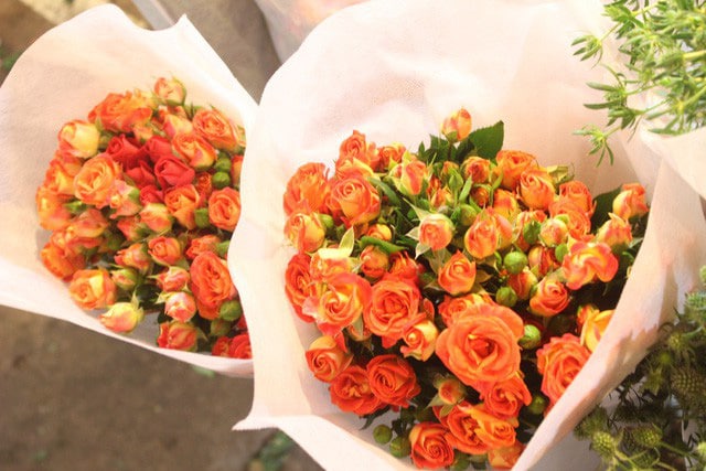 Hồng tỉ muội tượng trưng cho mối quan hệ thân thiết