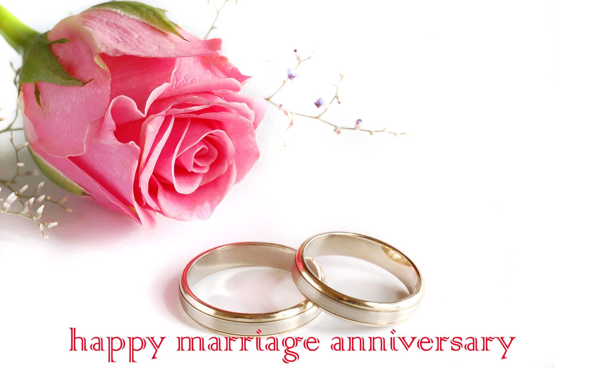 [Chia sẻ] Ngày happy anniversary nên làm gì để lãng mạn hơn?